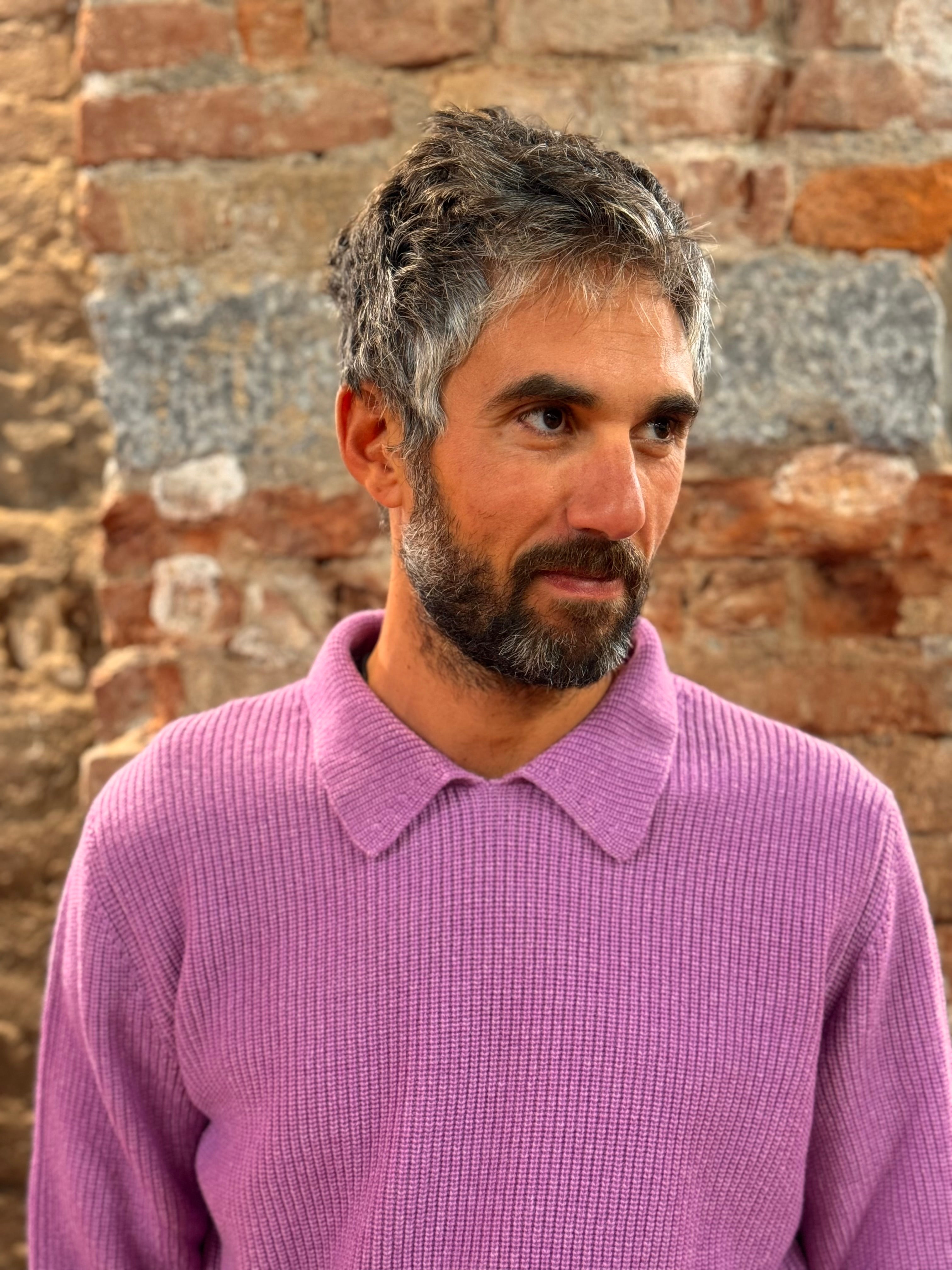 FRESH Sound Merino Polo Sweater In Lilac