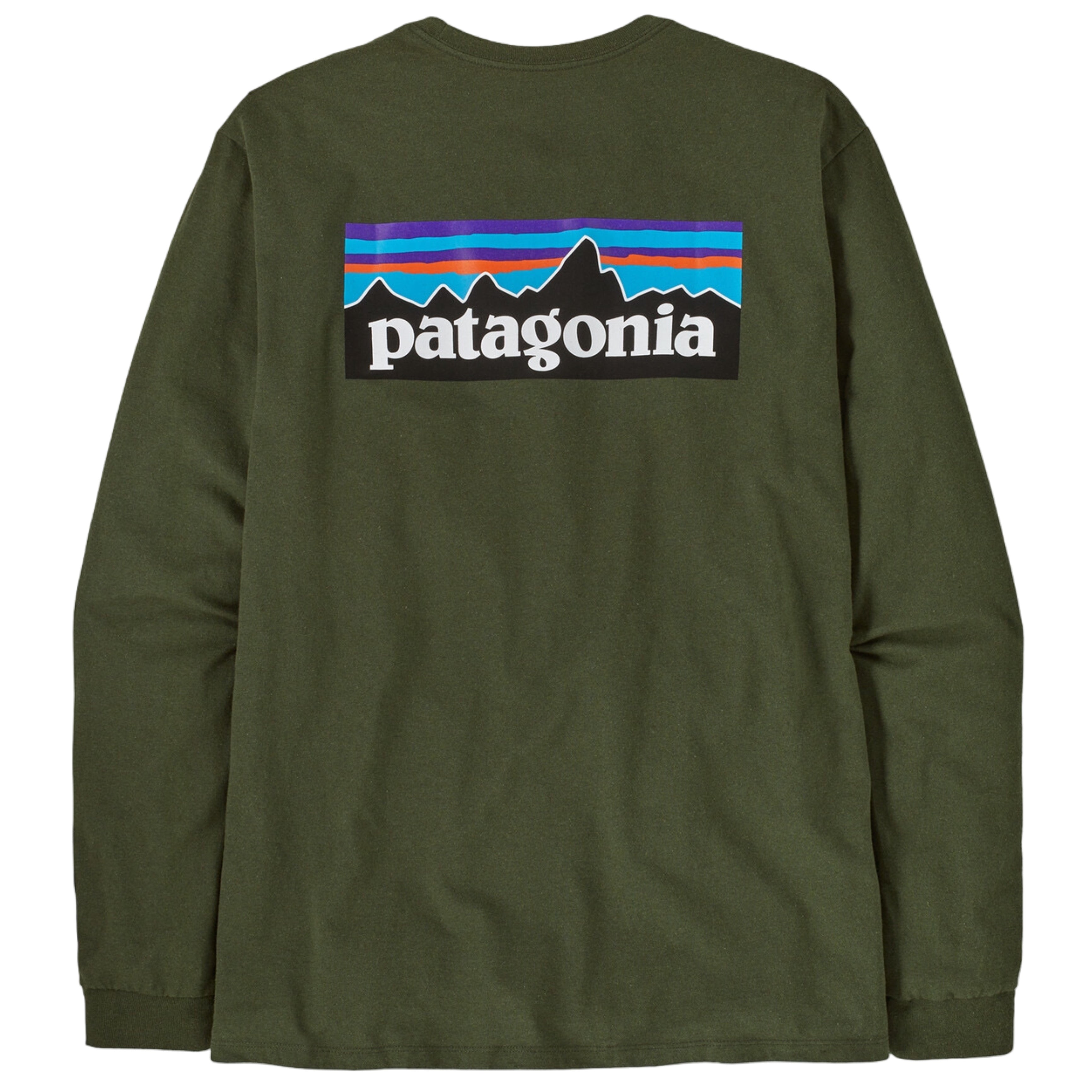 PATAGONIA P-6 Maglietta a maniche lunghe da uomo con logo P-6 Responsibili-Tee® Torrey Pine Green 