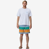 Pantaloncini da surf da uomo Wavefarer® PATAGONIA - 19" Fitz Stripe: Pufferfish Gold 